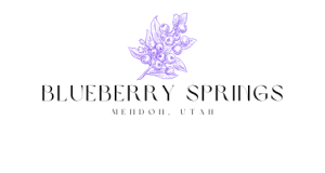 Blueberry Springs