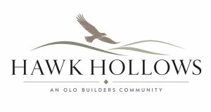 Hawk Hollow